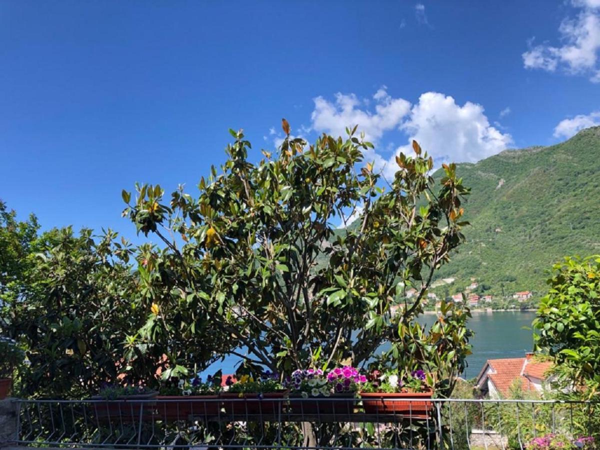 Apartments Todorovic Tivat Eksteriør billede