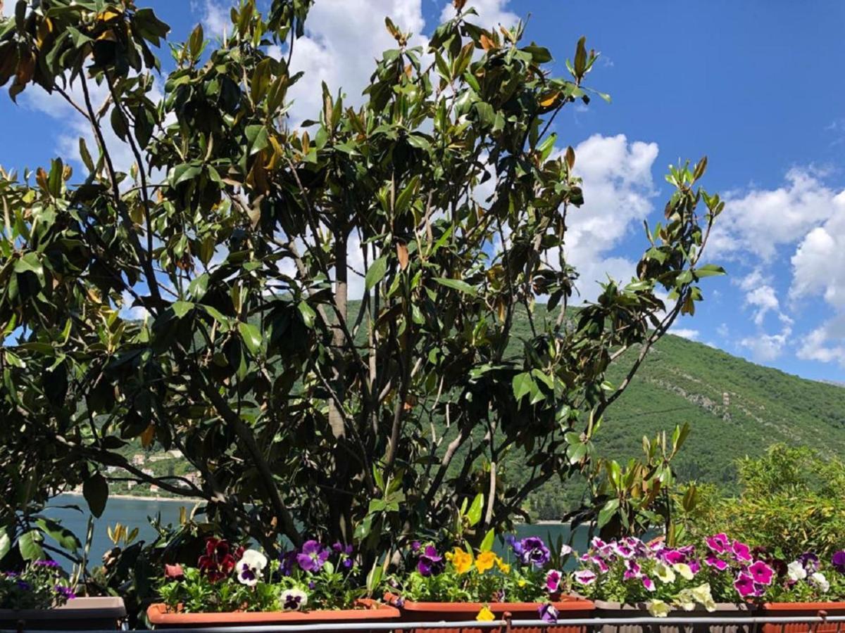 Apartments Todorovic Tivat Eksteriør billede