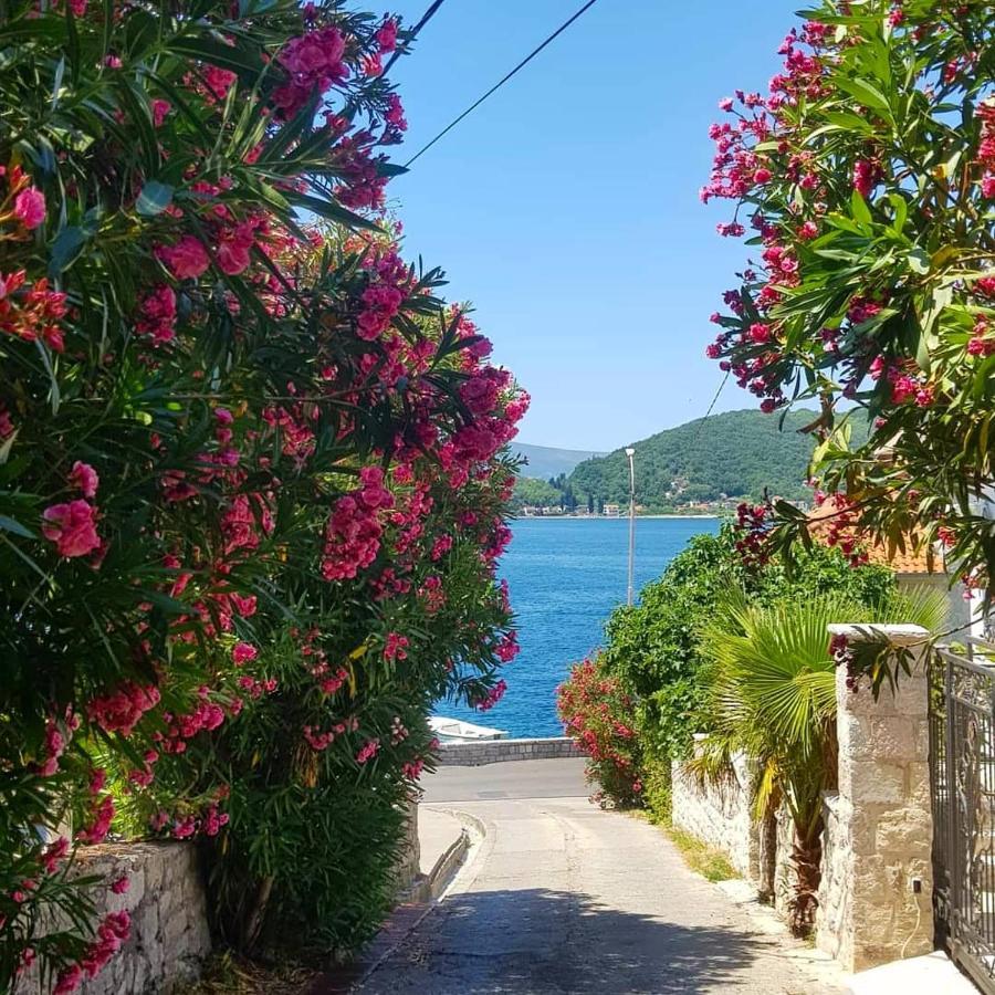 Apartments Todorovic Tivat Eksteriør billede